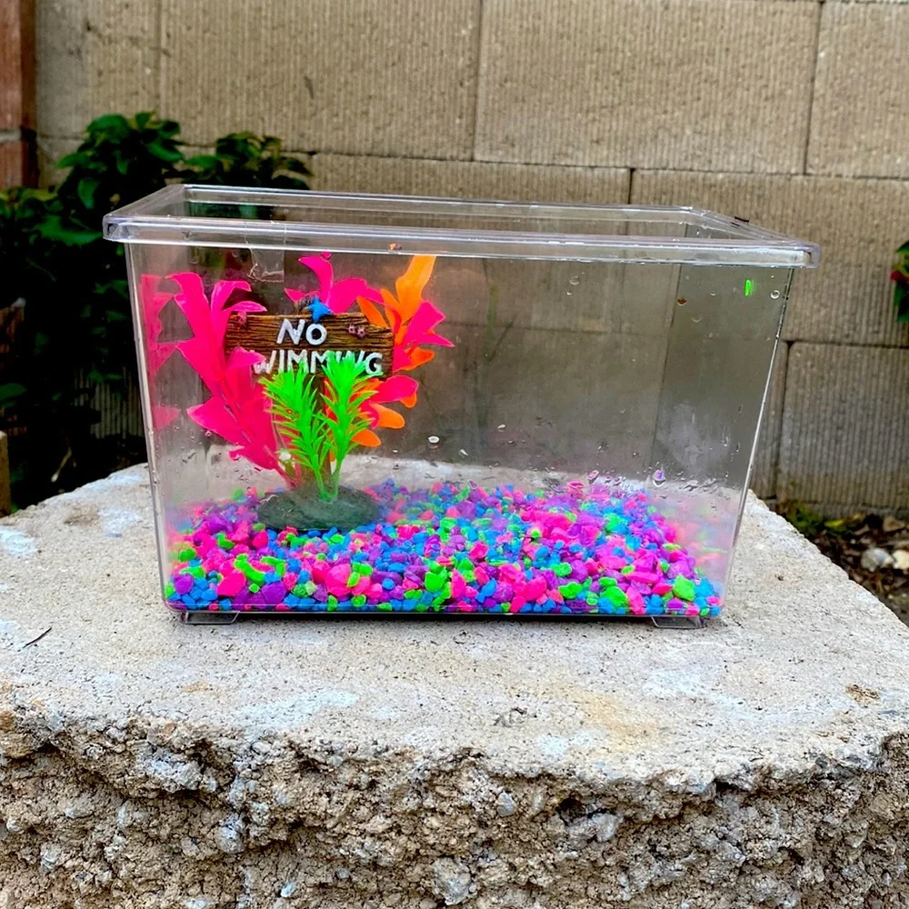 Fish tank with cooler rocks and a sign